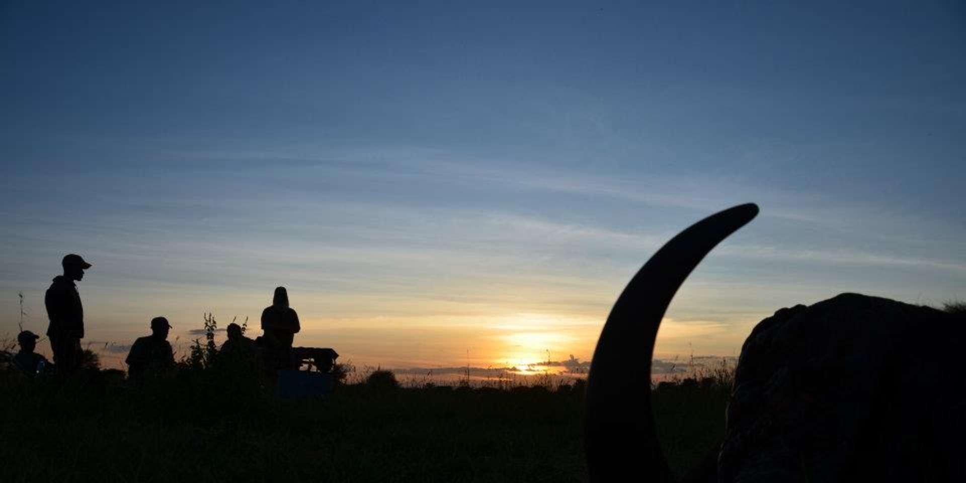 Welcome to Pmonte Outdoors