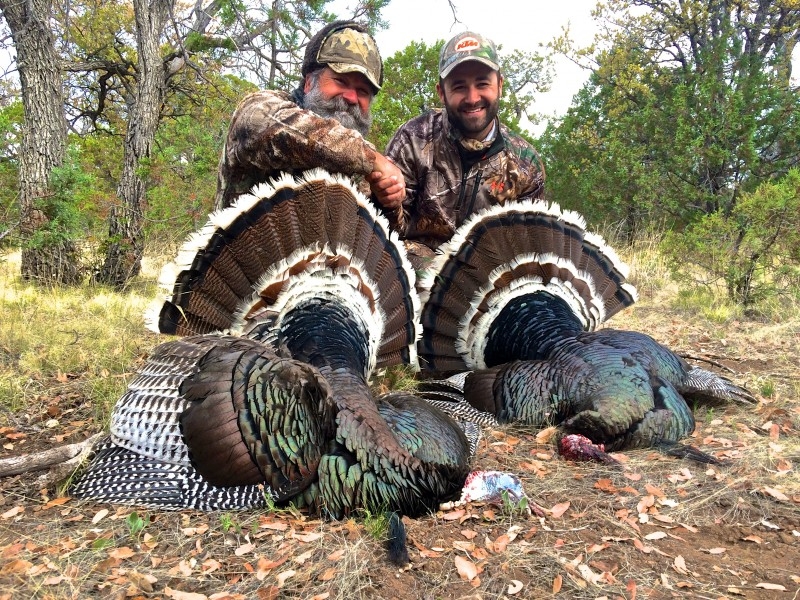 Hunting for Gould’s Turkey in Mexico Info