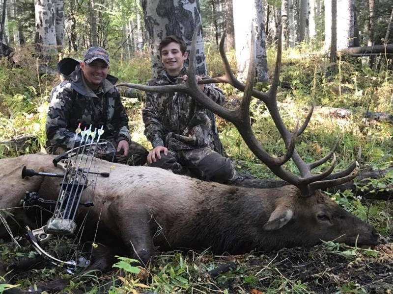 Northern New Mexico Elk Hunting Info