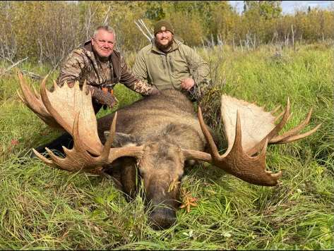 Moose Information