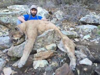 Hunting Mountain Lions in New Mexico Info