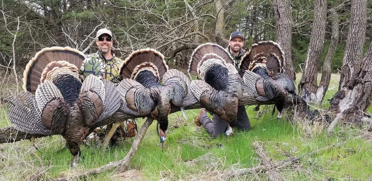 Hunt Whitetails or Rio Grande Turkeys in Kansas