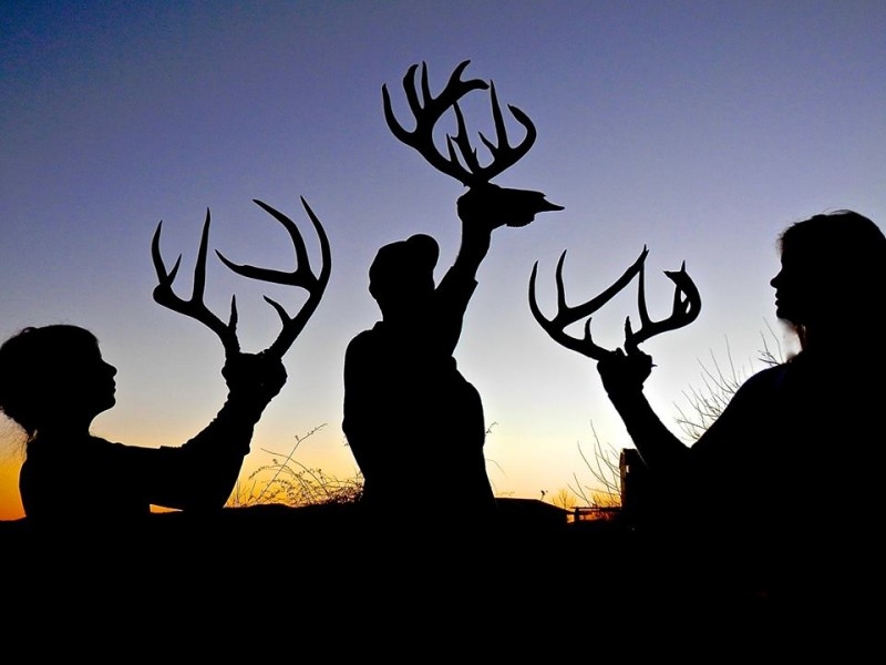 Big Game Hunting