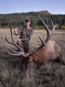 Hunt New Mexico Elk