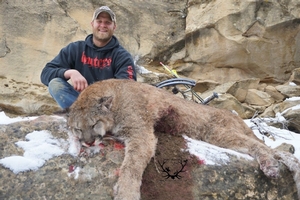 Hunt Colorado Mountain Lions