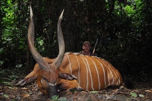 Hunt Cameroon