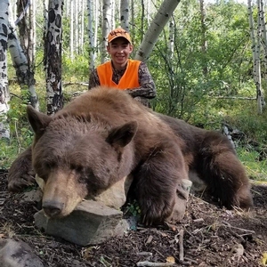 Hunt Colorado Bear