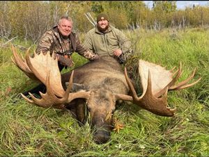 Hunt Alaska Moose