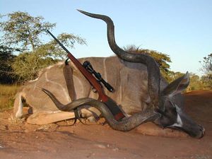 Hunt Sandveld
