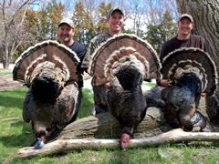Hunt Nebraska Merriam's Turkey